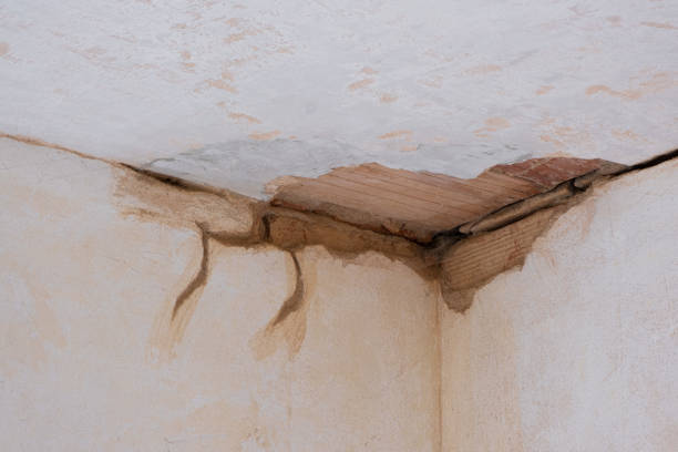 Best Professional water damage repair  in La Puente, CA