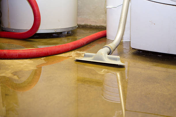 Best Water damage contractors near me  in La Puente, CA