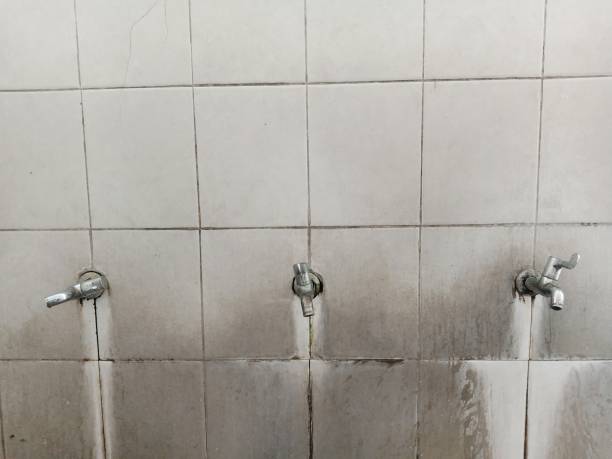 Best Water damage cleanup near me  in La Puente, CA